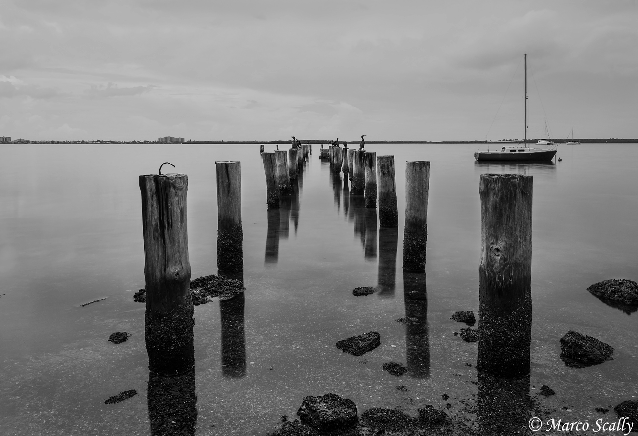 Una giornata nuvolosa a Tampa...