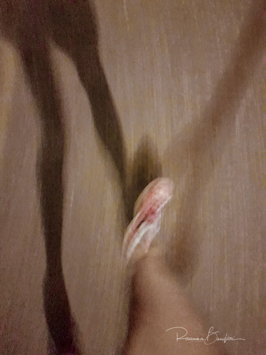 ...sempre di corsa :)