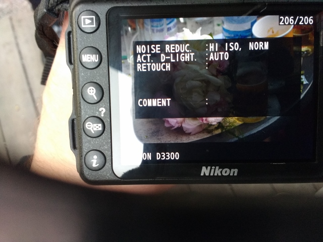 Display Nikon D-3300