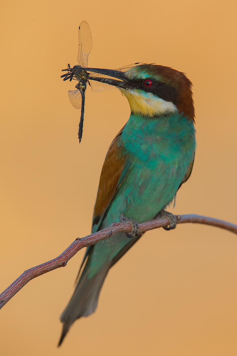 quando ormai non ci credevo piu'......