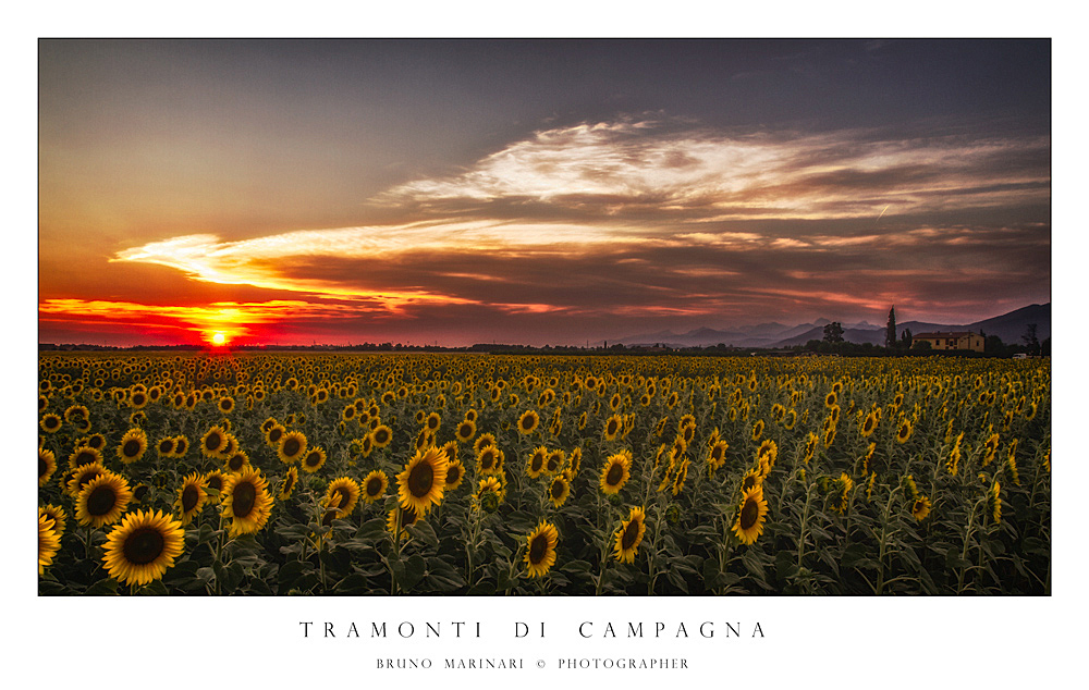 Tramonto di campagna