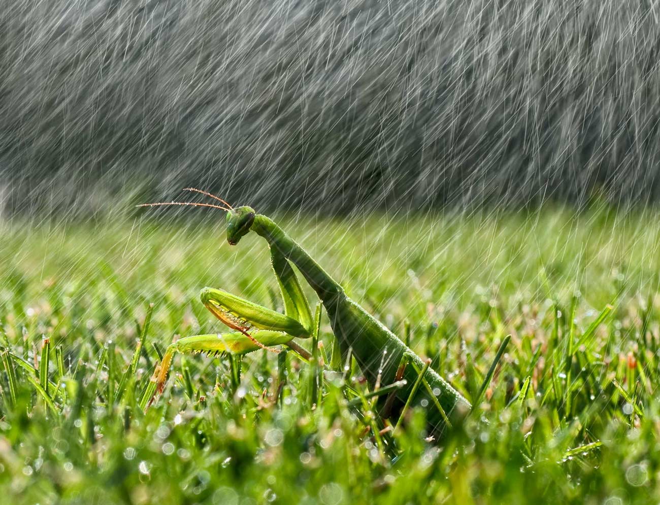 �Y�sotto la pioggia..