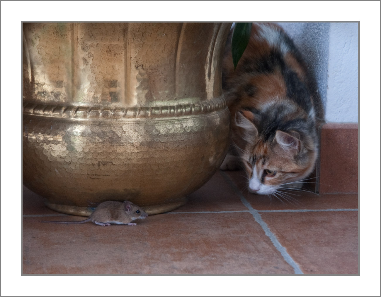 con il cuore in gola...