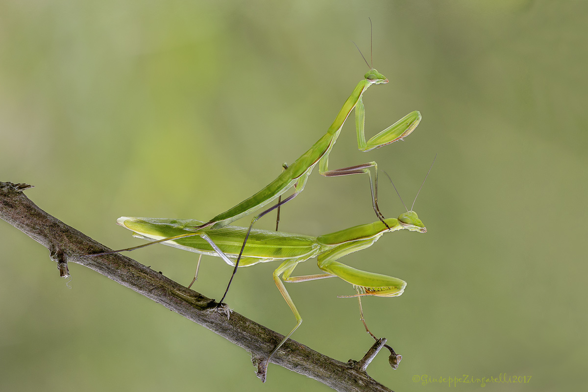 Vieni caro, ti porto in un bellissimo posto...