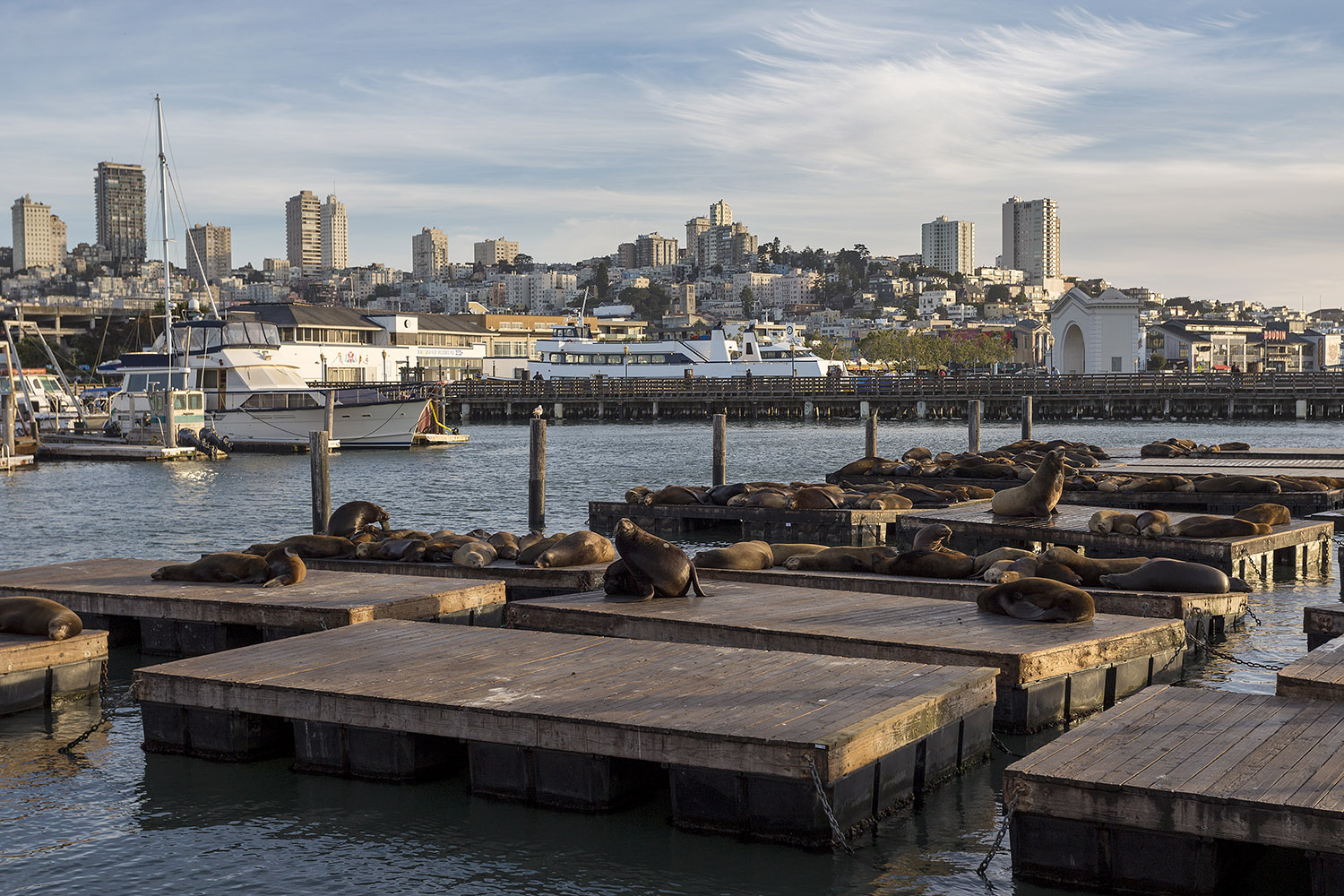 fisherman's wharf san francisco