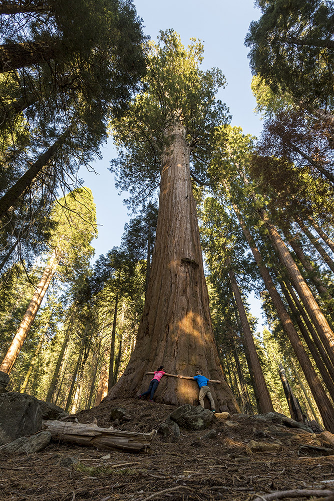 abbracciando i giganti