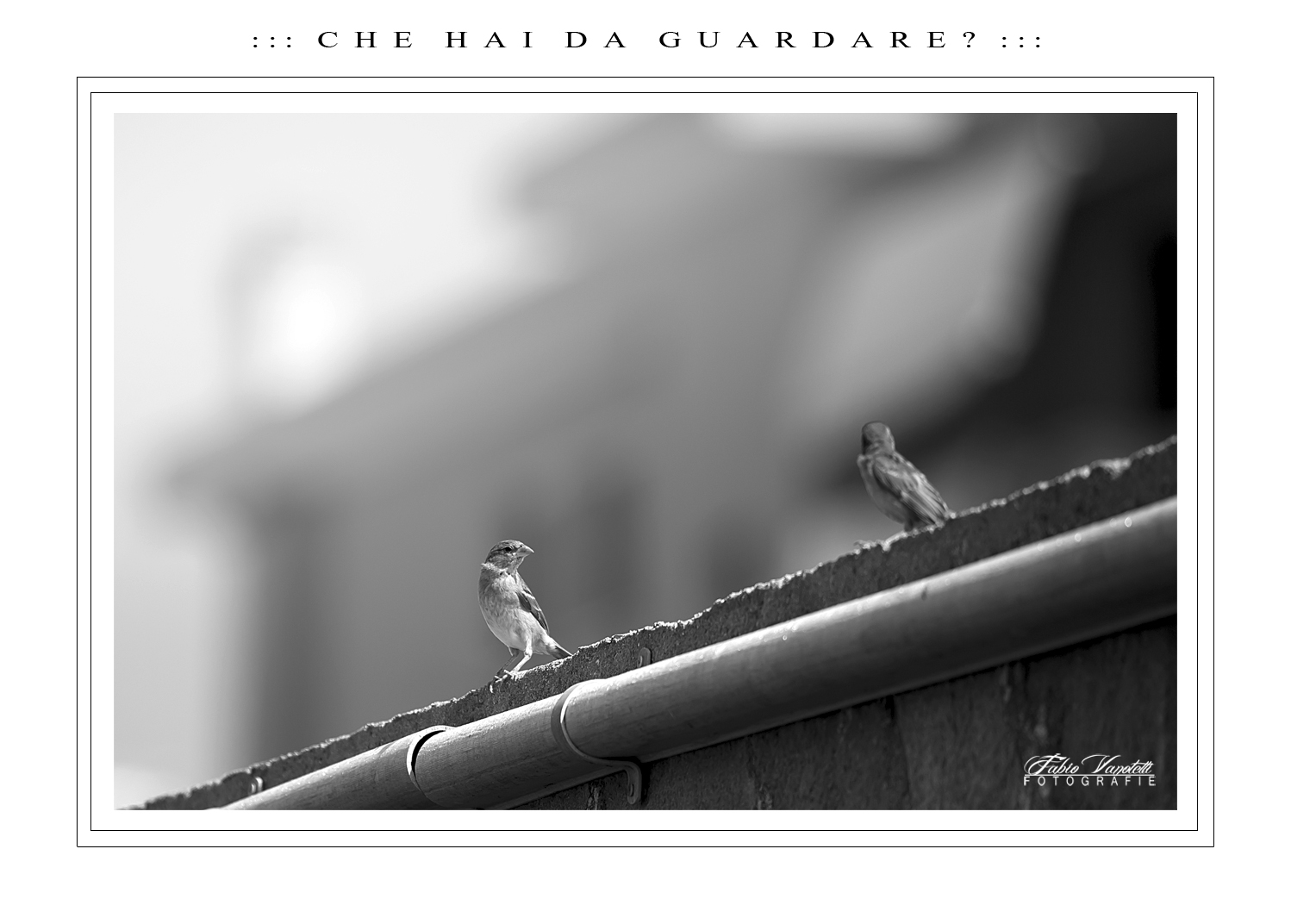 ::: C H E  H A I  D A  G U A  R D A R E ? :::