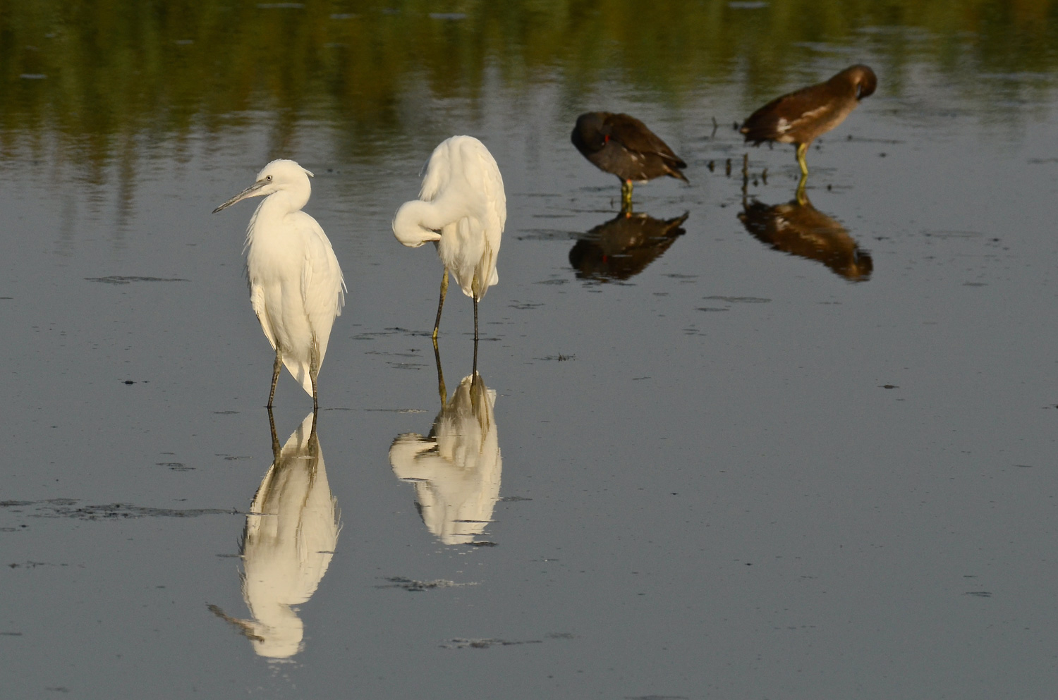 La pace e la luce del tramonto