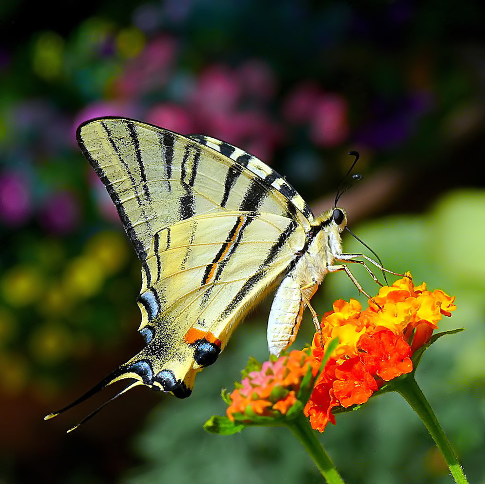 ***Con l'obiettivo tutto sudato***