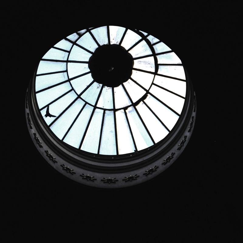 quand c'est trop ... c'est (pour) Tropico