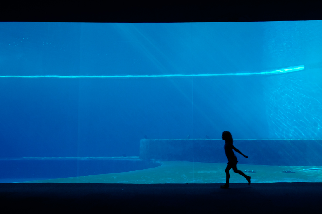 Arianna all'acquario di Genova