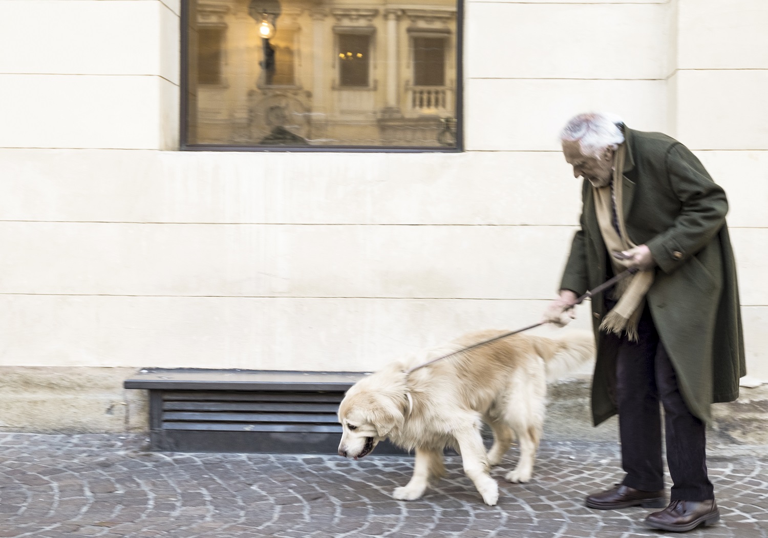 L'uomo e il cane