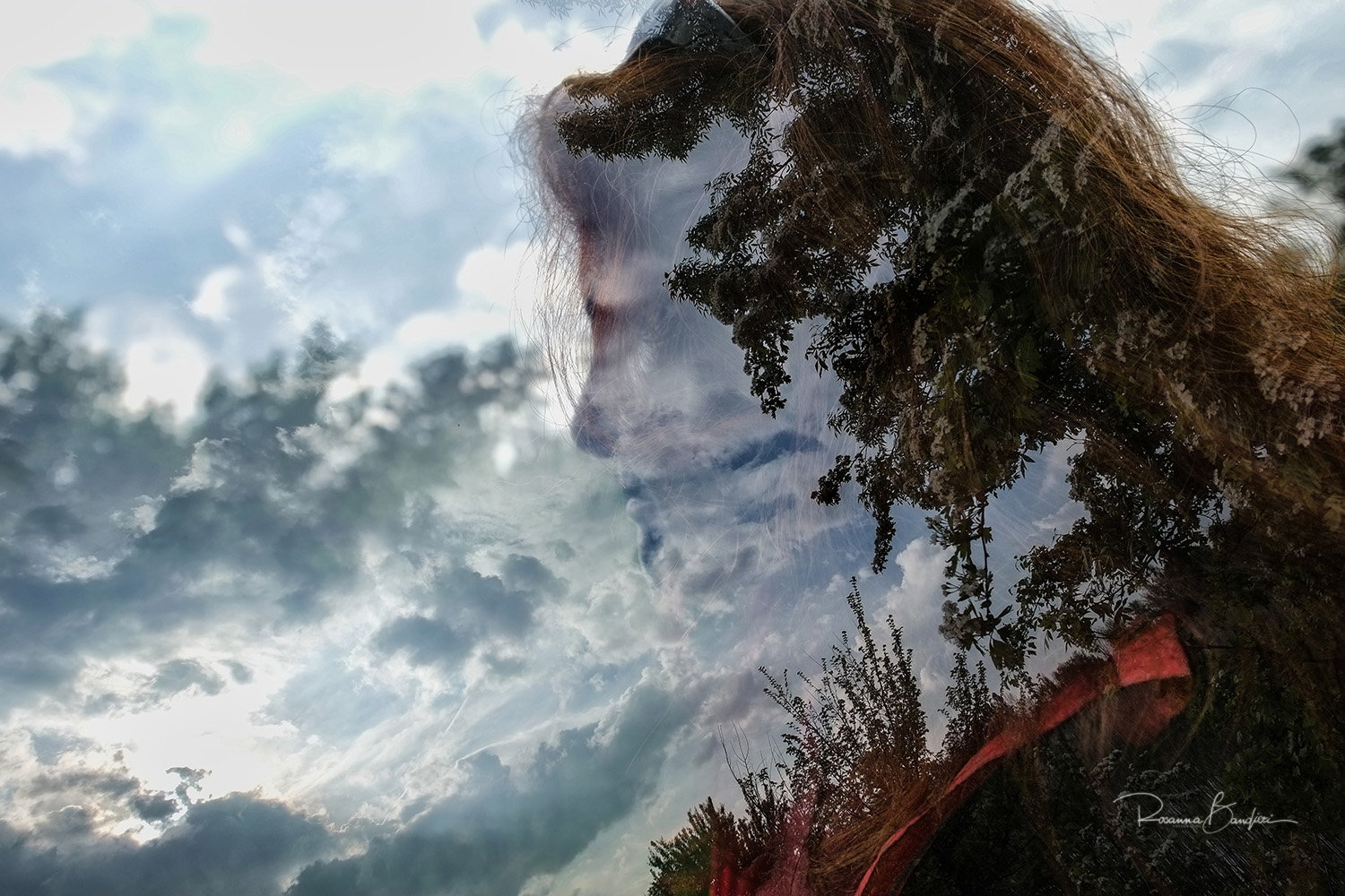 con la testa tra le nuvole