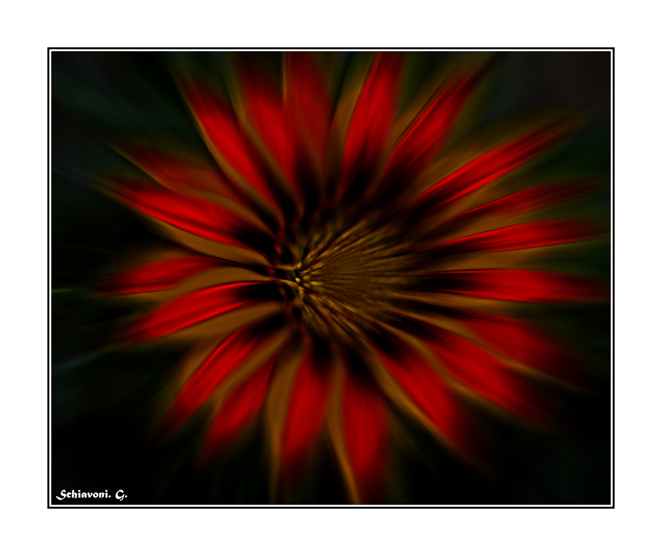 photoshop.. fiore...edivertimento....