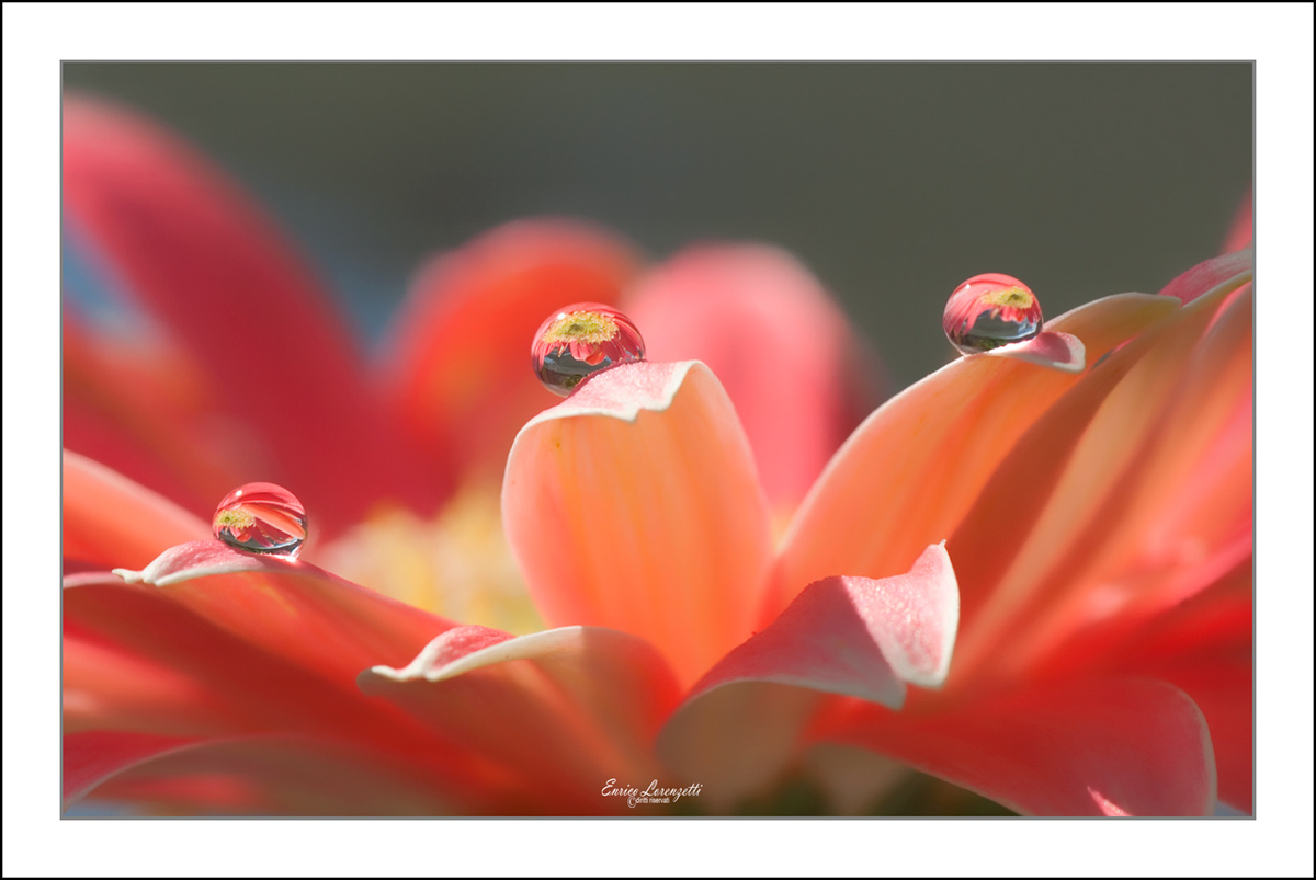 acqua in perle cristallo...