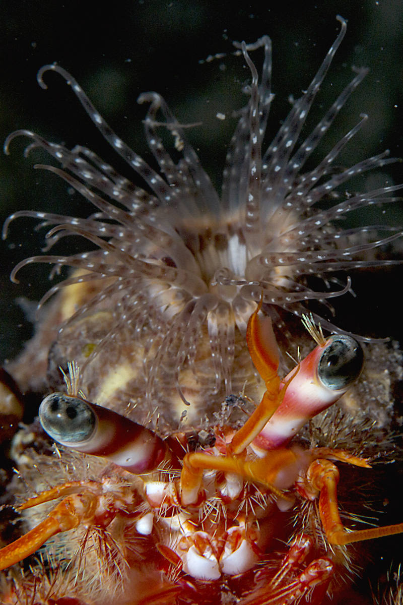 Torno adesso dal parrucchiere