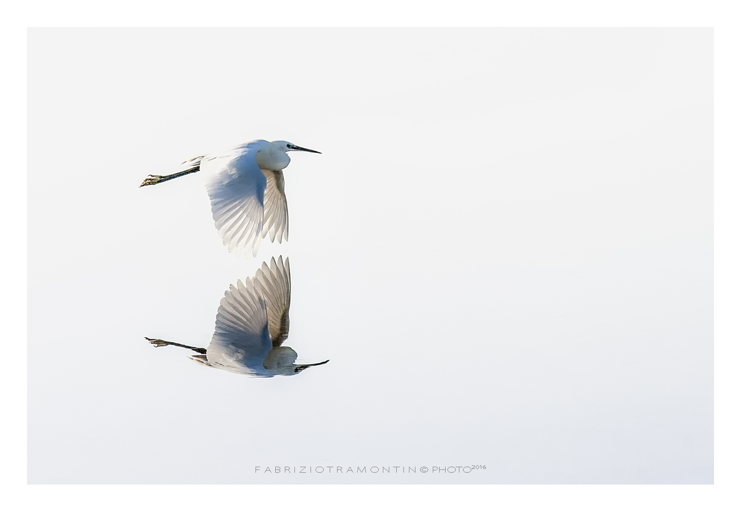 in viaggio col selfie