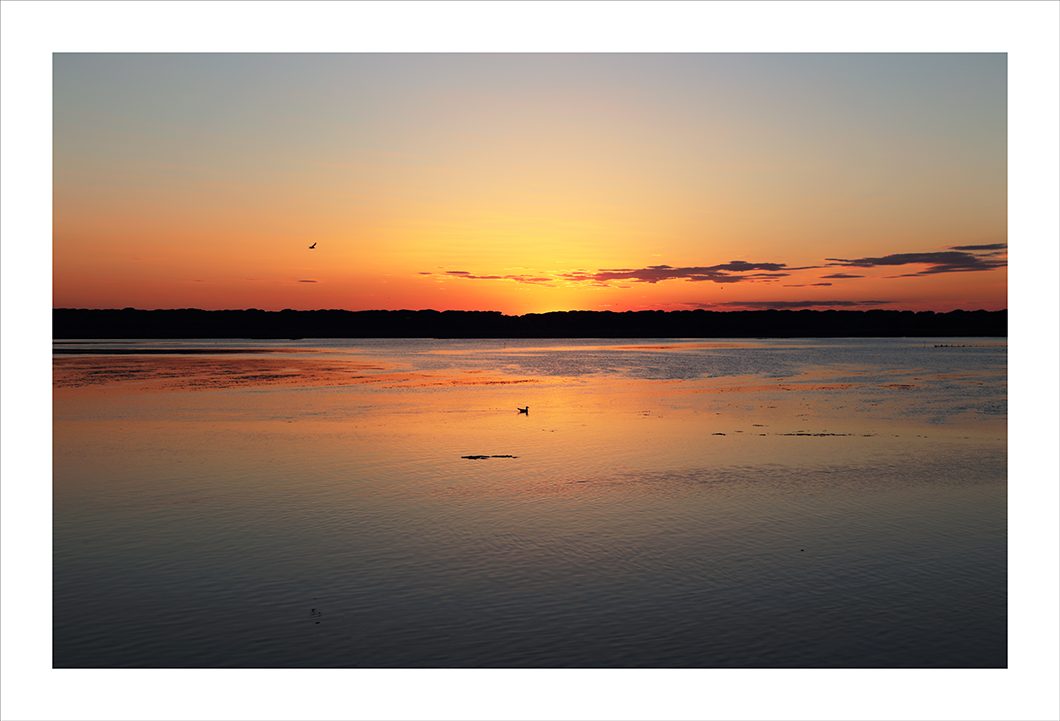 Un mondo solo per loro...