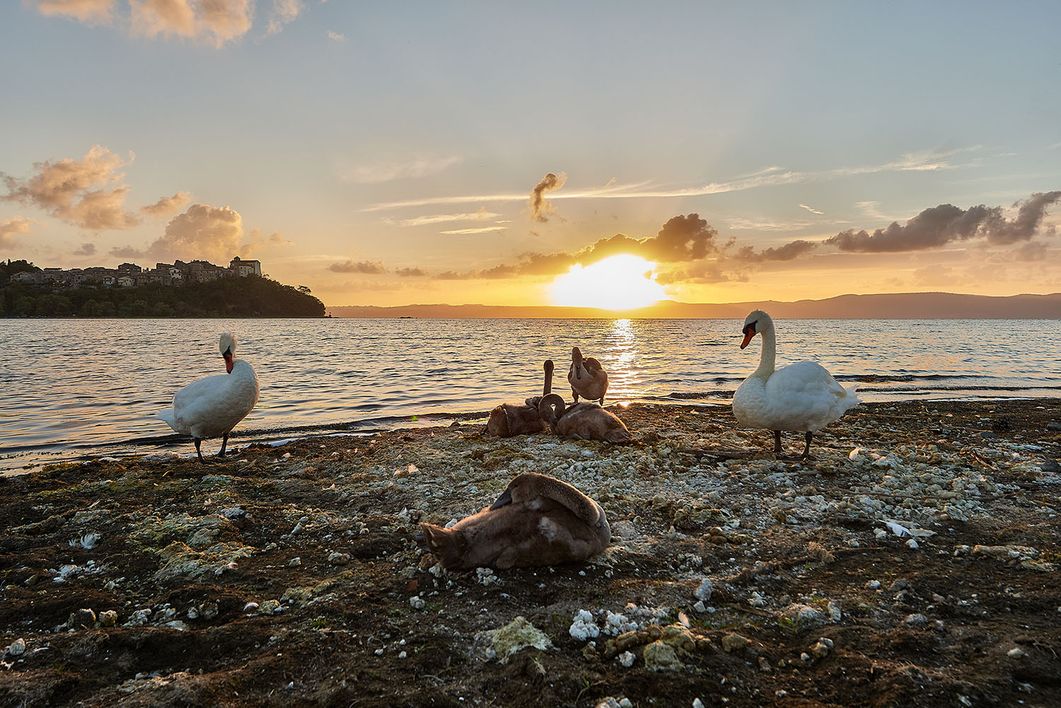 Tramonto in compagnia