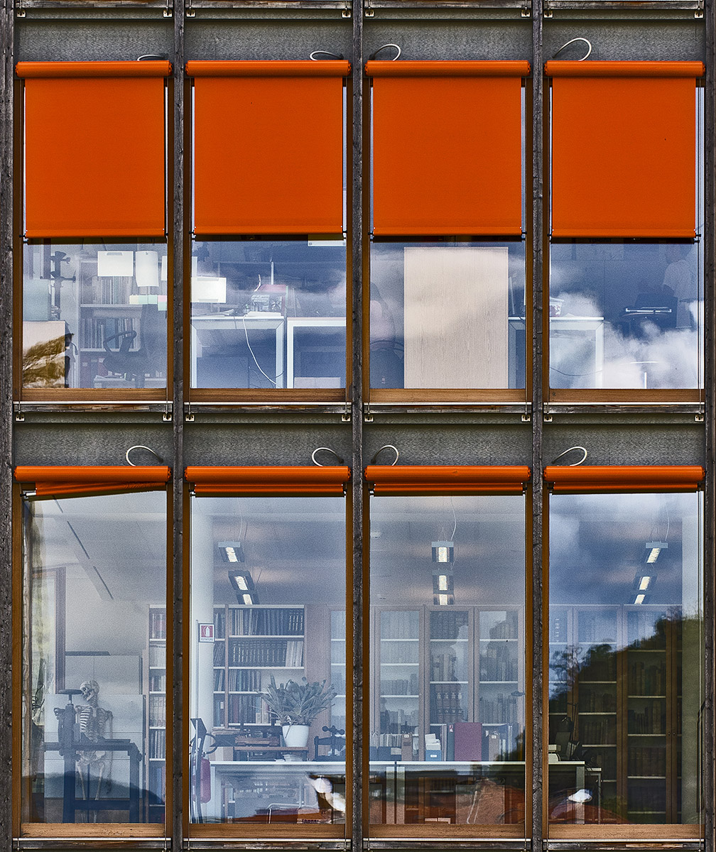 Architettura scheletrica!