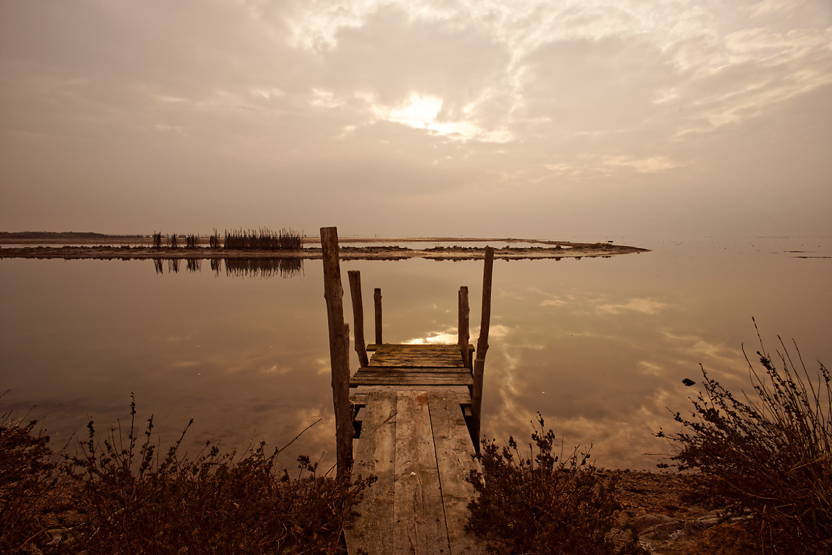 Delta del Po (Gorino)