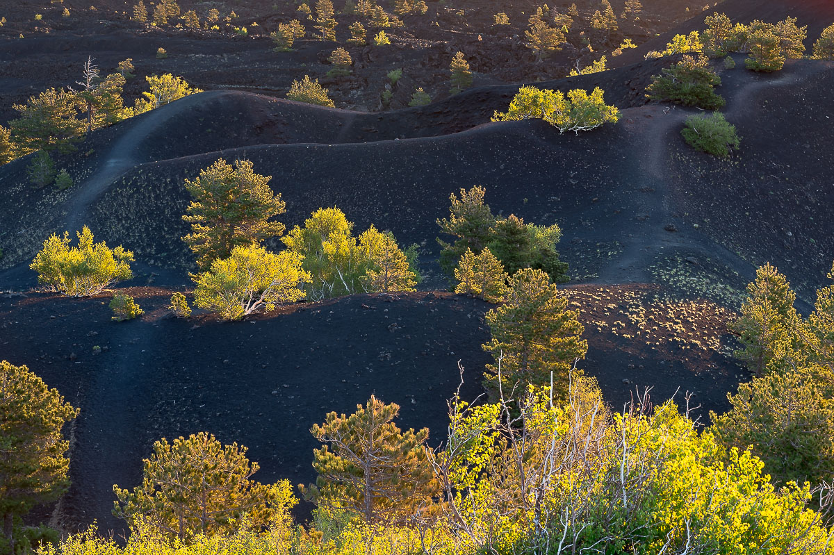 I frutti del vulcano