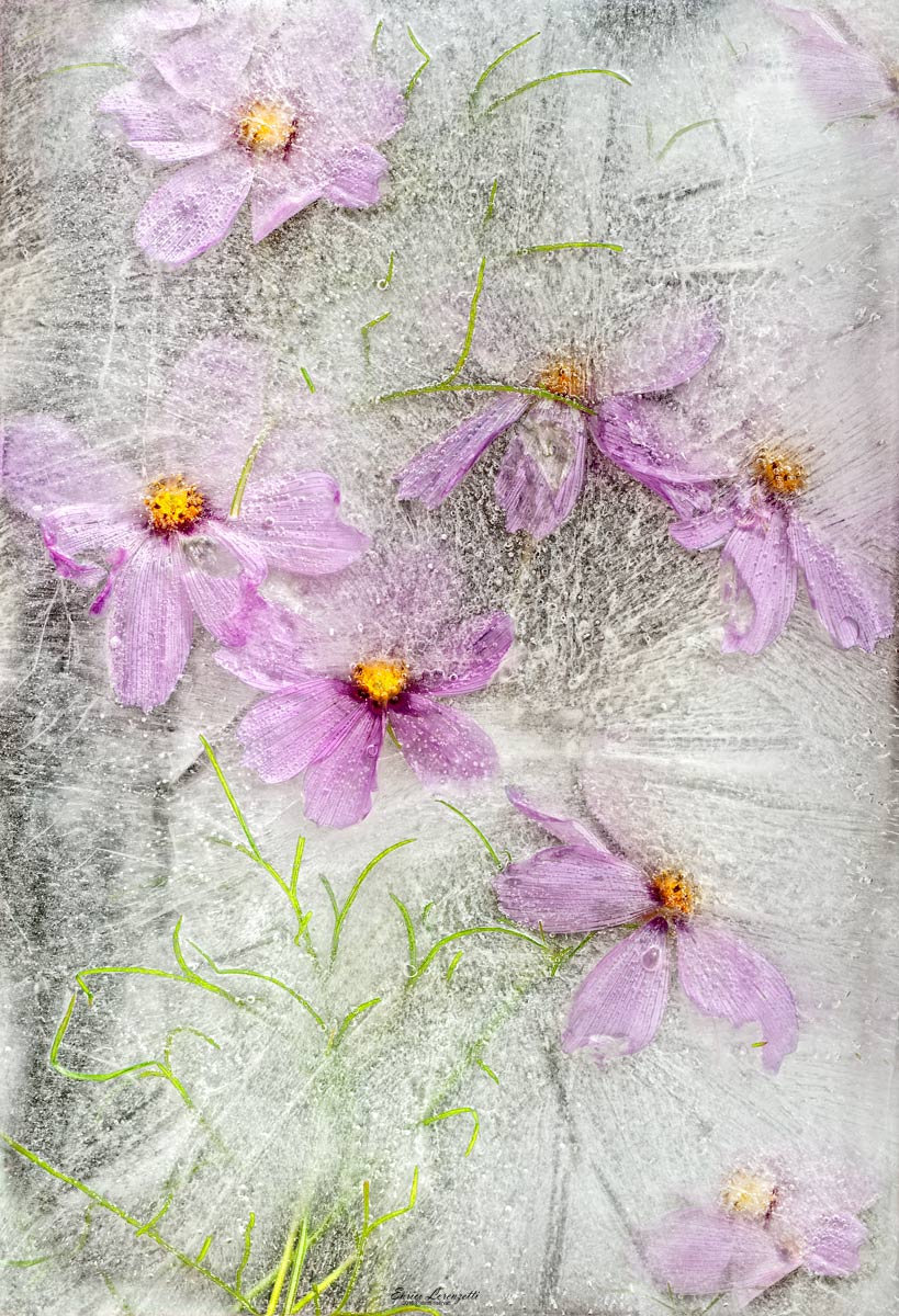 dipingere con la fantasia....