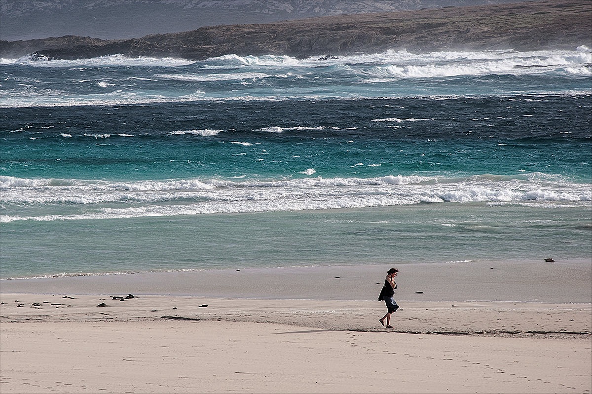 Pensieri nel Maestrale