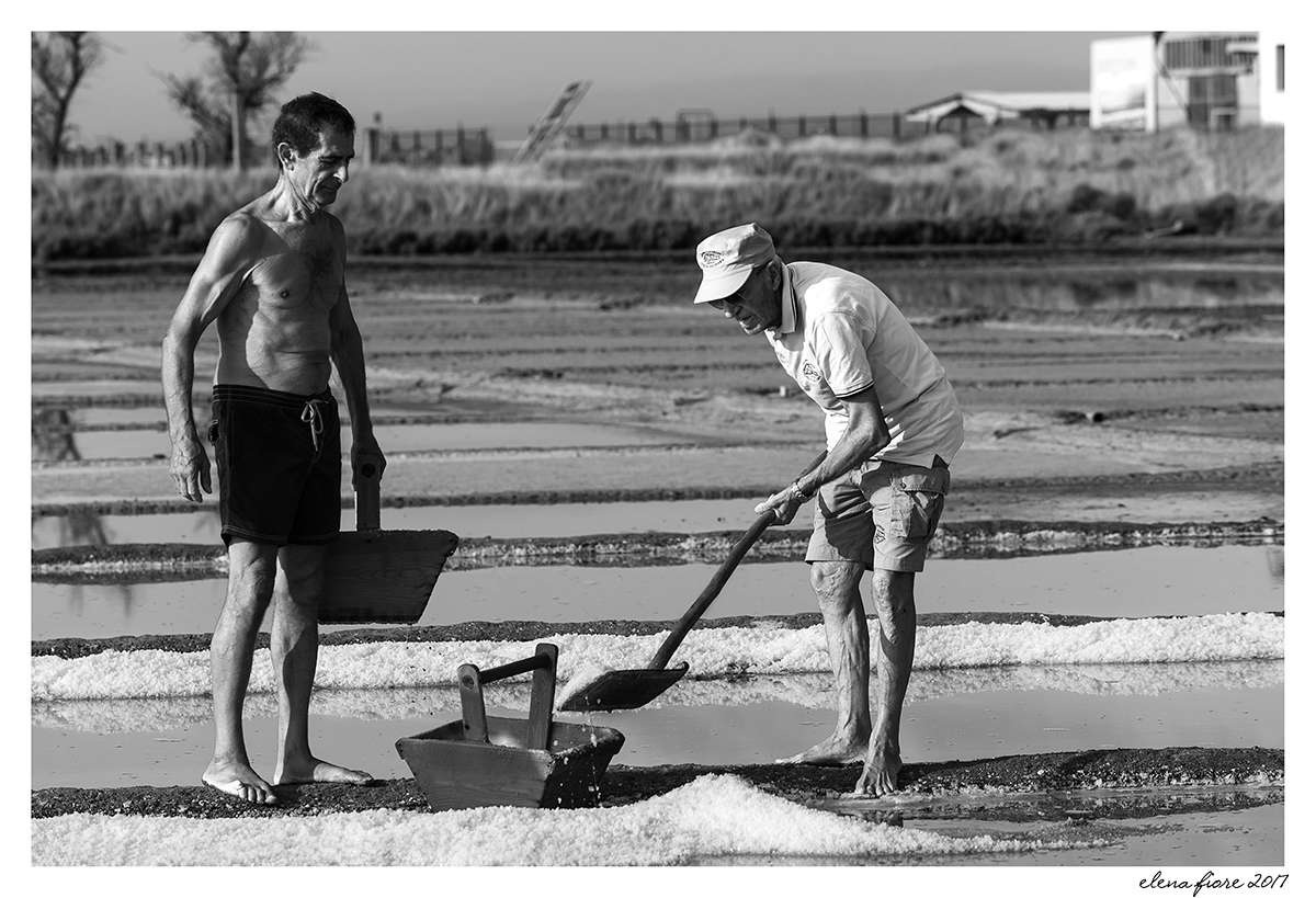 Saline Camillone n.2/2017