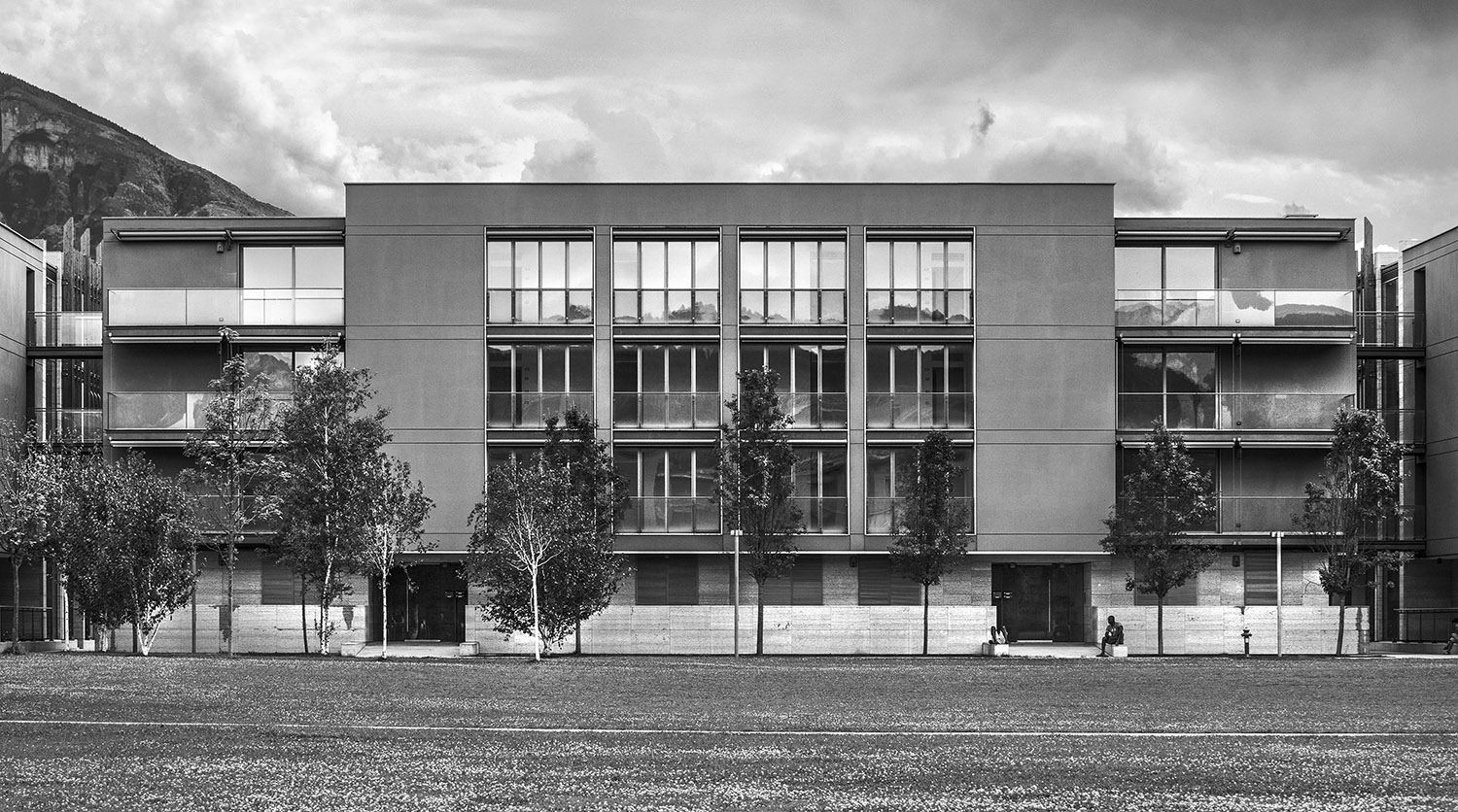 rettangolo fra gli alberi..