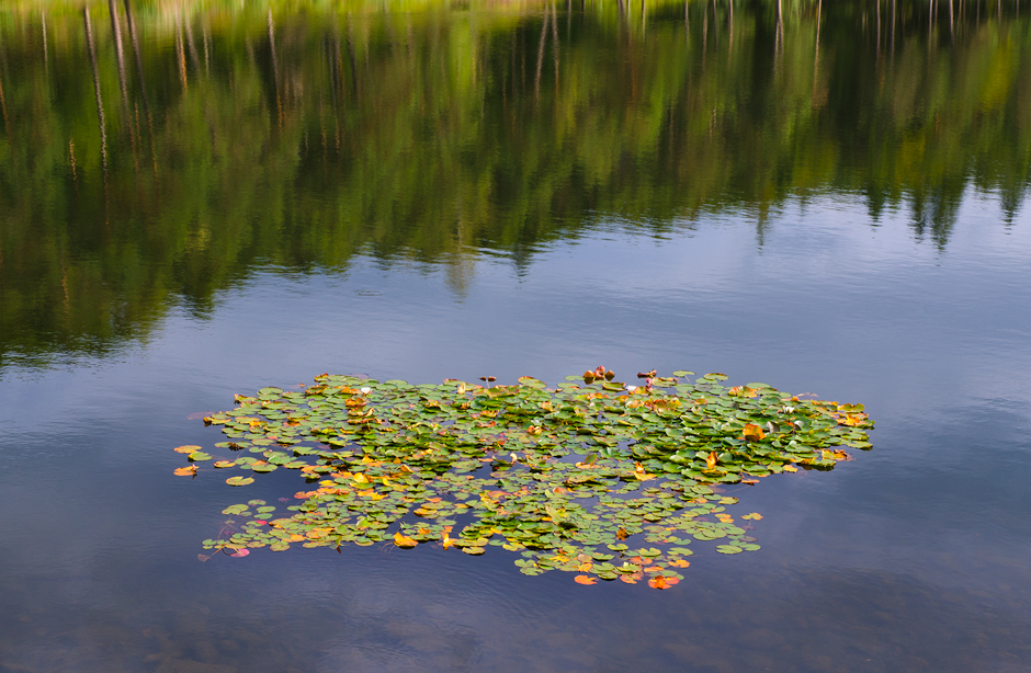 Impressioni di Settembre
