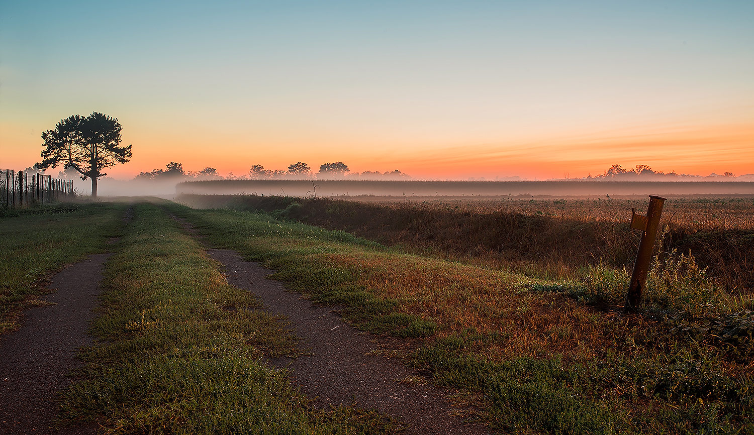 Toc, Toc.... sono l'autunno