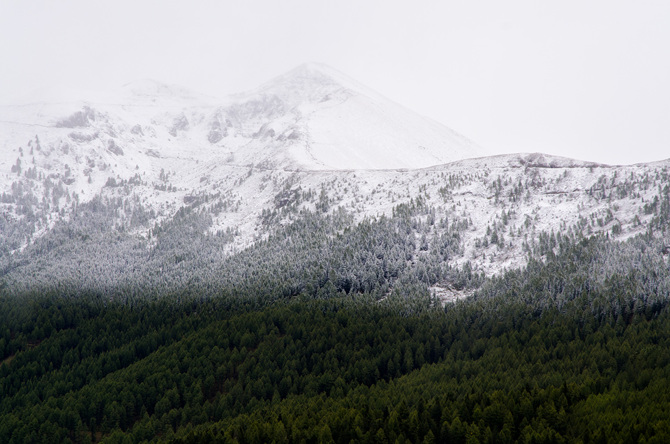 Il Limite della Neve