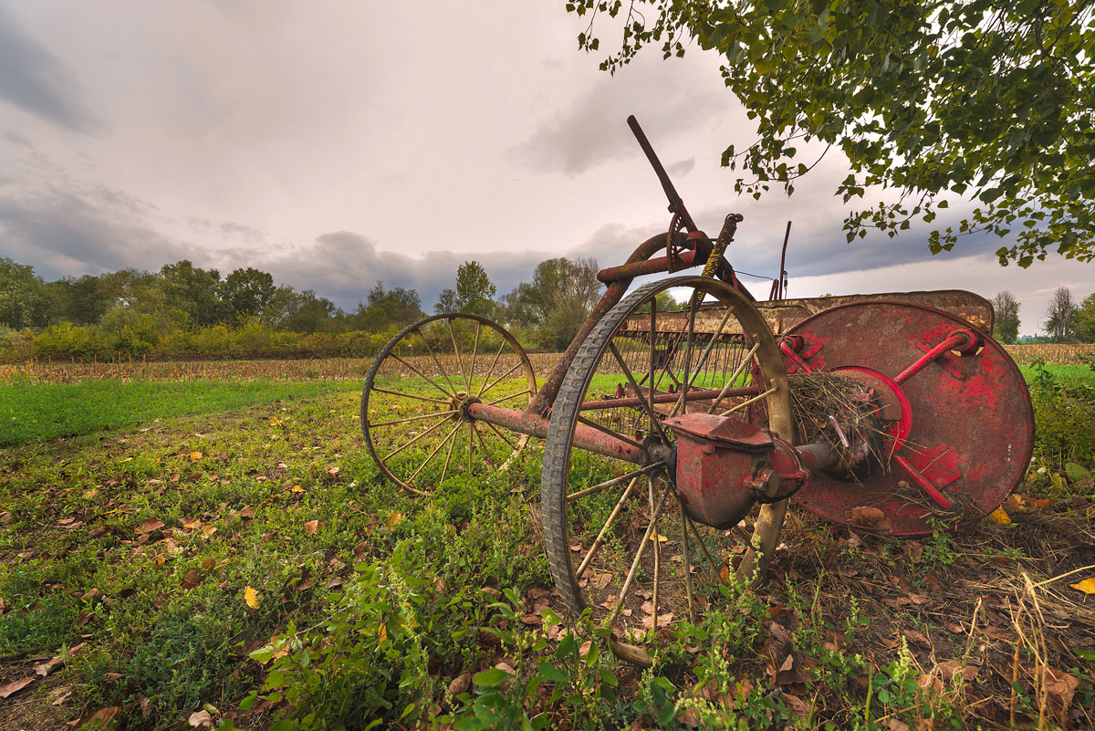 quando le ruote avevano i raggi