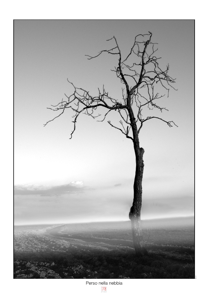 Perso nella nebbia continuo ad esser solo..