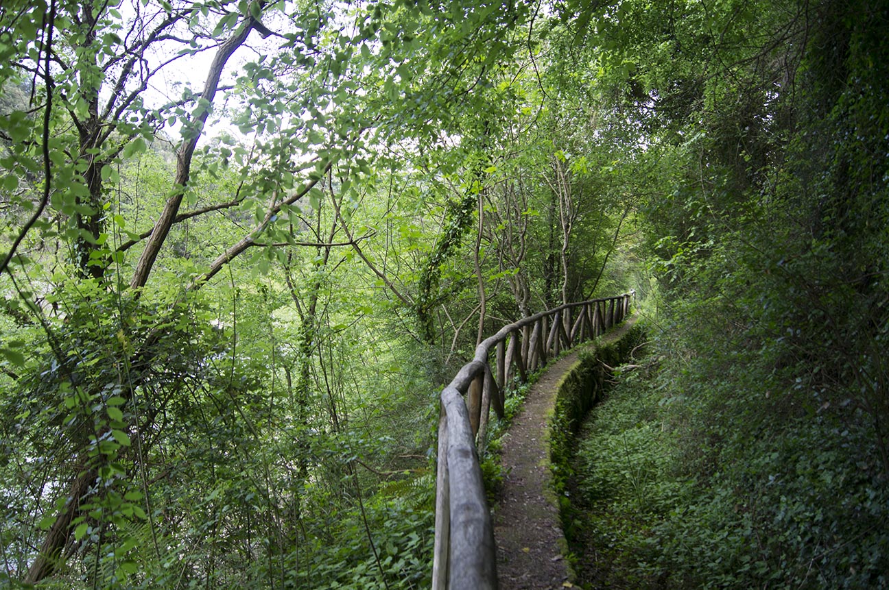 felitto, il sentiero