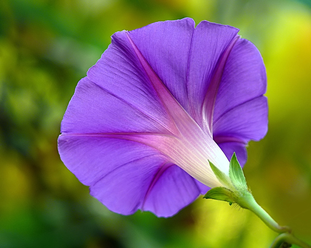 ***Allincontrario***