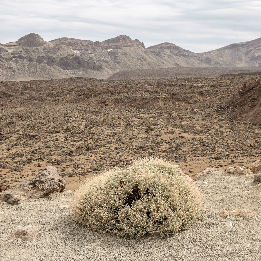 El Teide, Tenerife, Canarias