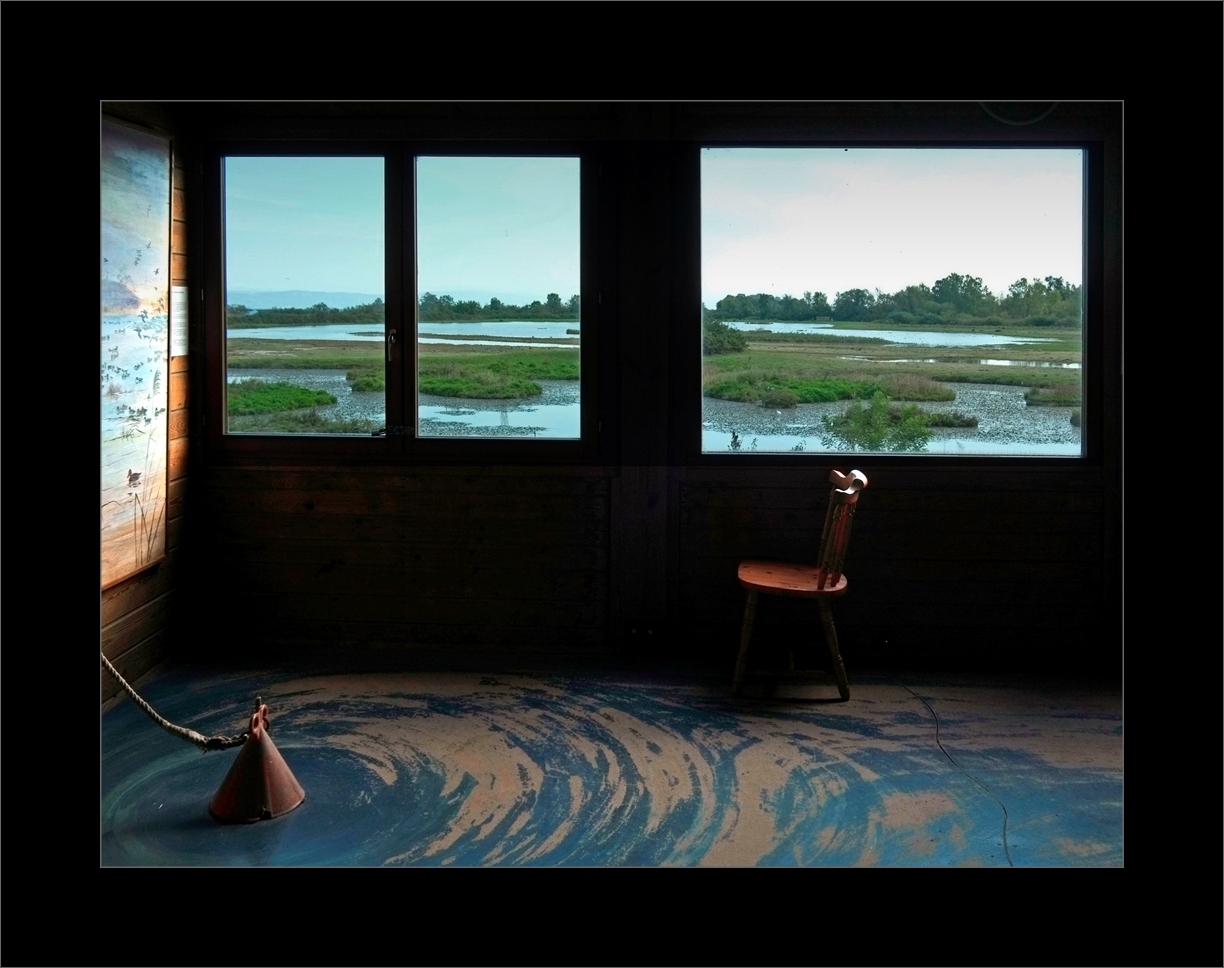 Isola della Cona img.012