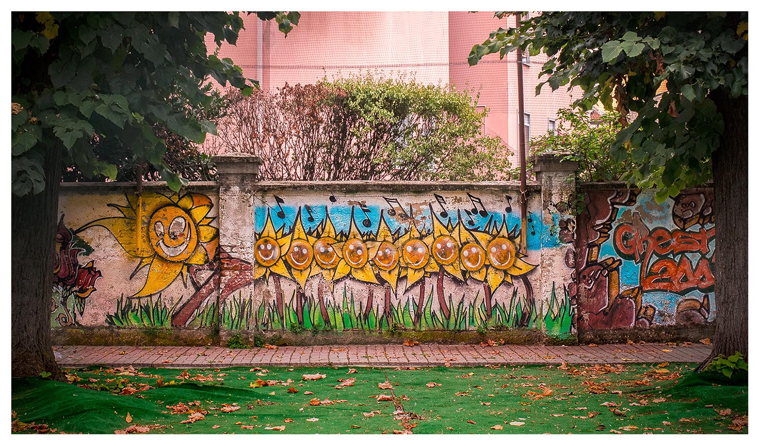 Fiori ... in autunno