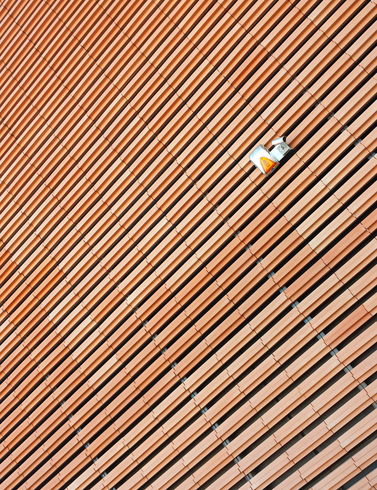 Vigilanza trasversale.