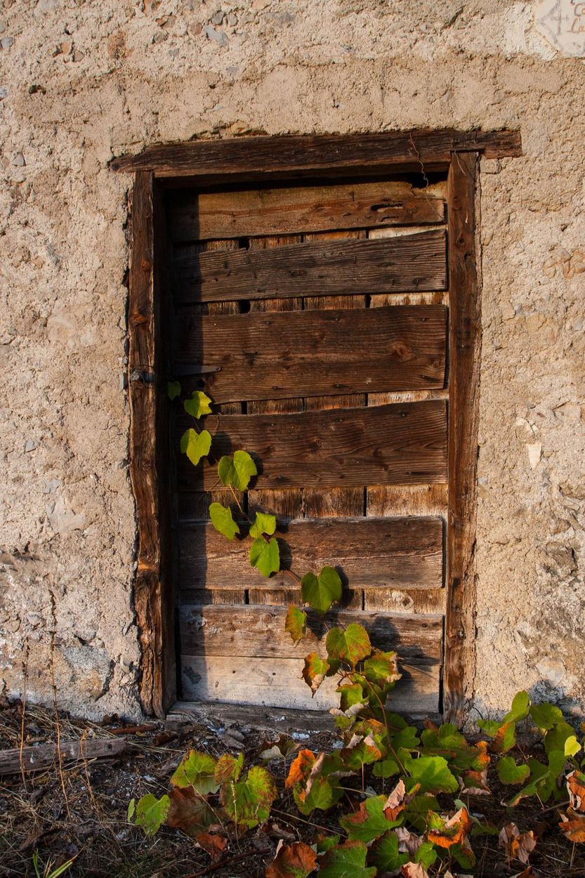 non aprite quella porta