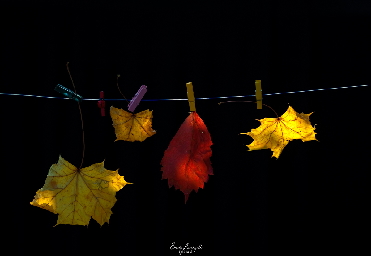 Ho steso i colori dell'autunno....