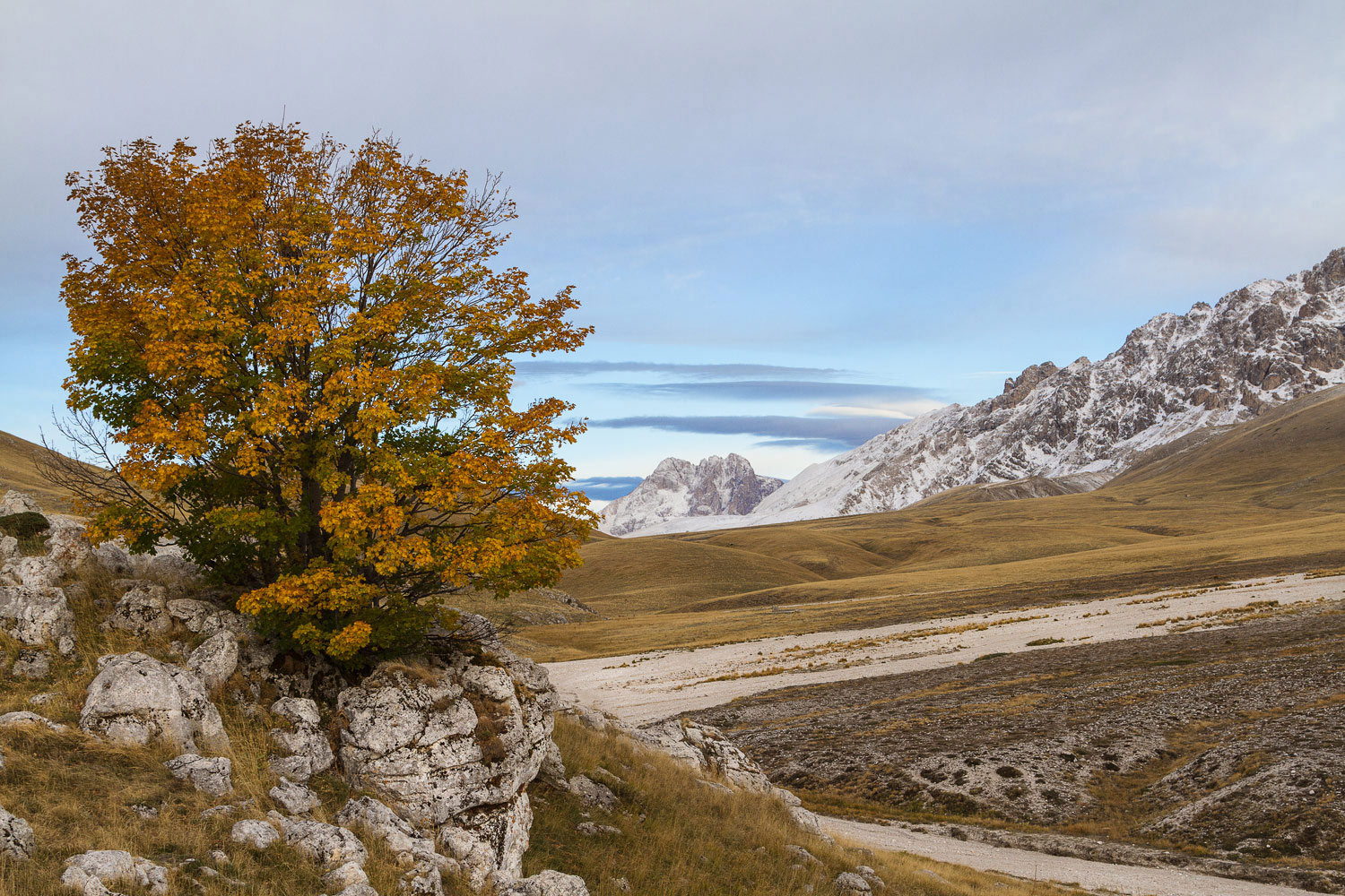 La luce che accarezza il mattino