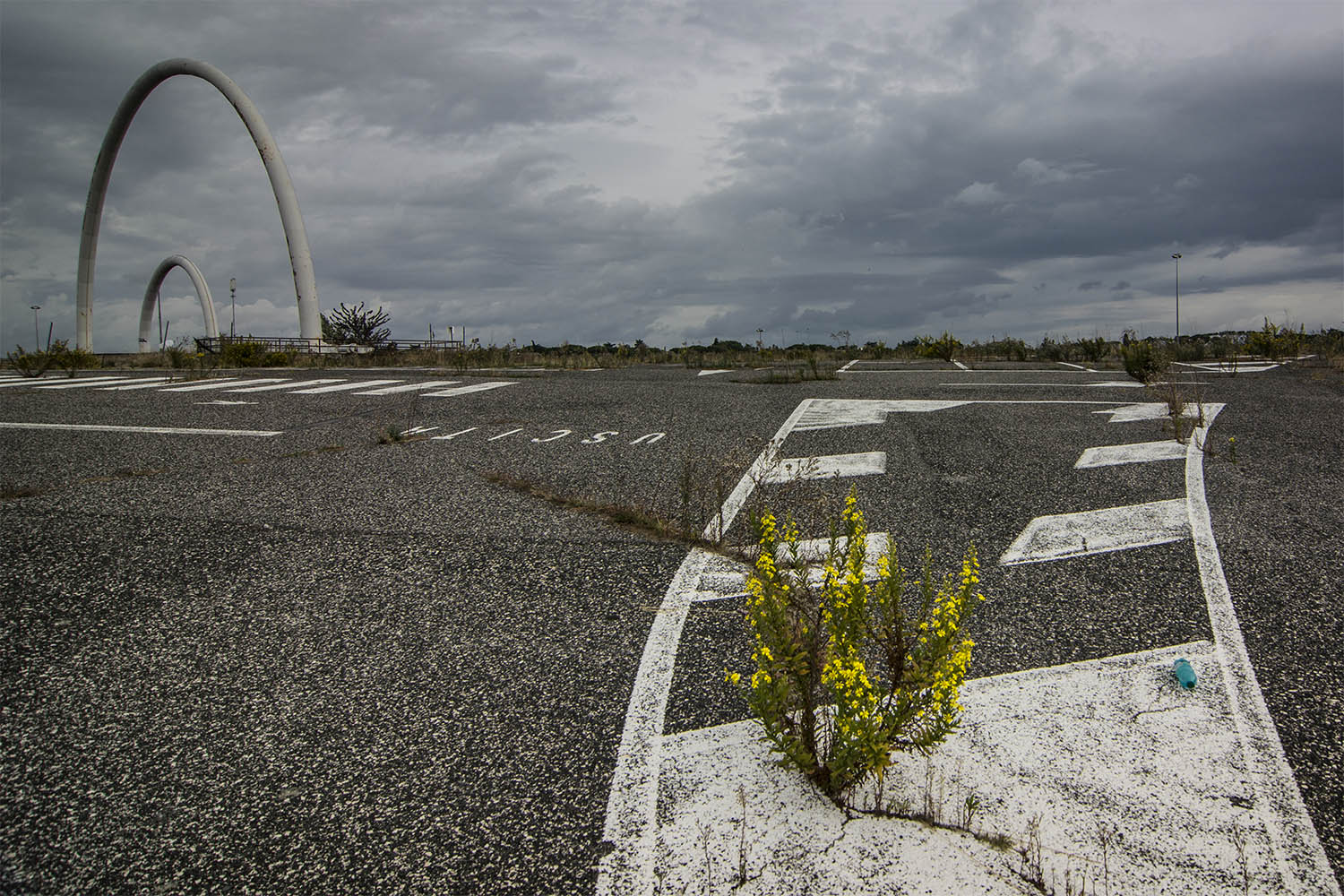 TorVergata_Roma_DesolazioneDegrado