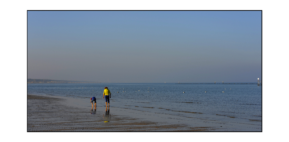 ..a raccogliere. ..vongole