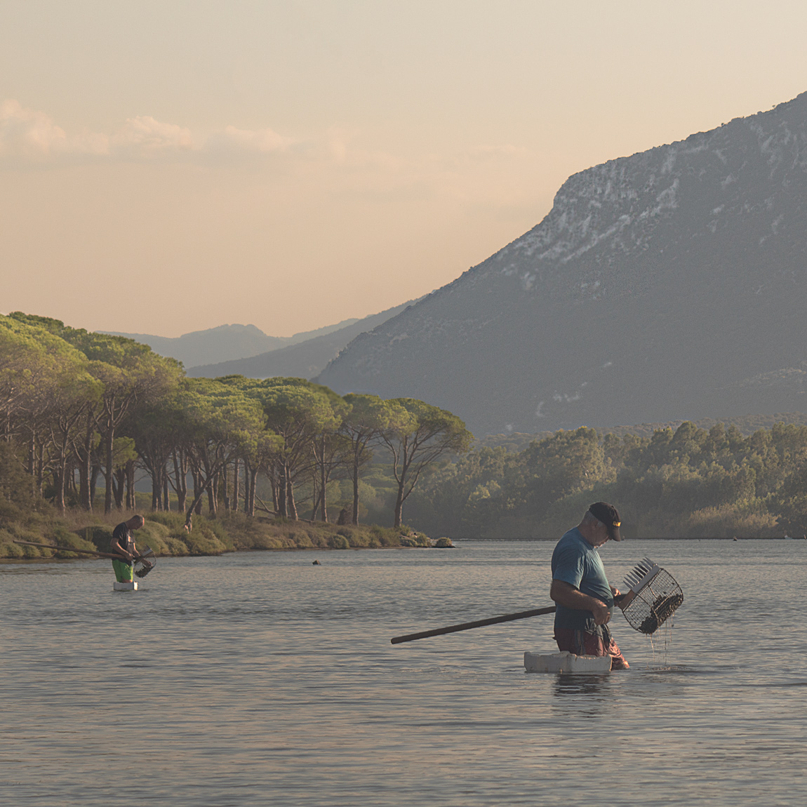 Raccoglitori di arselle a Su Barone - Orosei