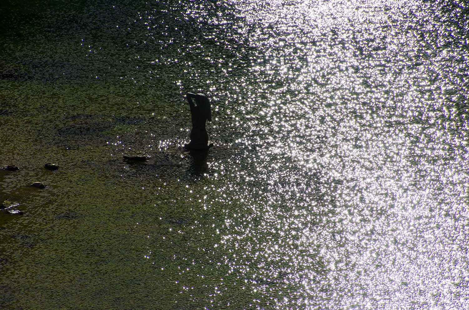 Il bagno della Ninfa