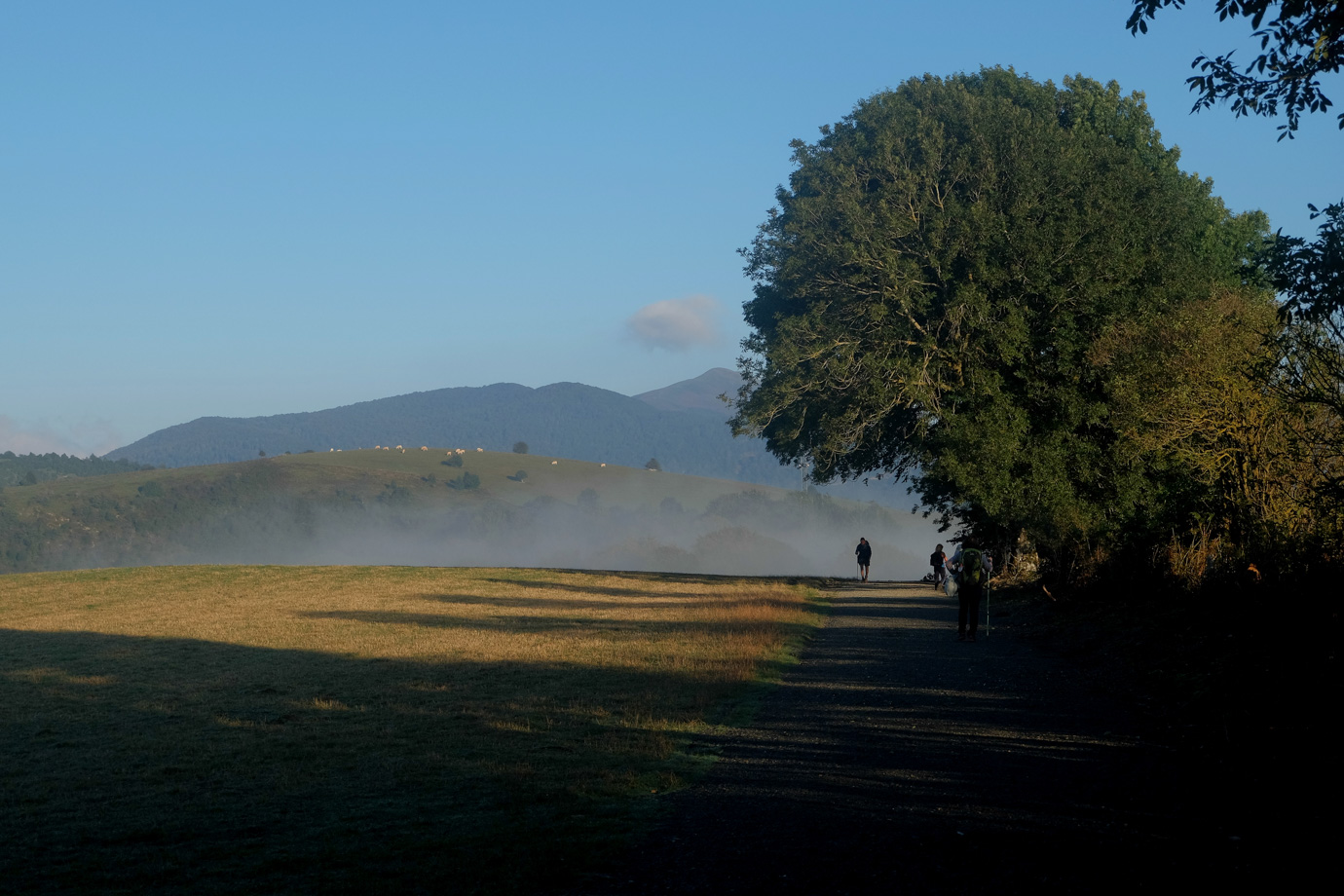 Niente di particolare