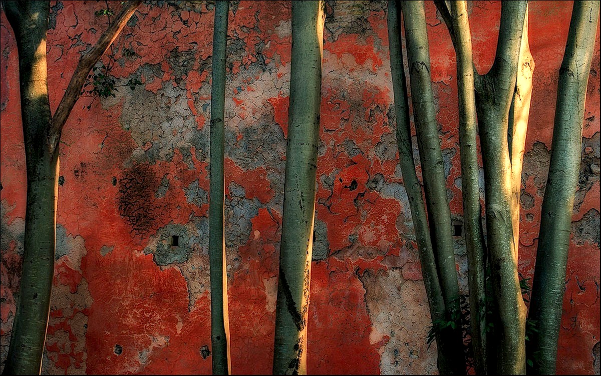 Diversamente autunno